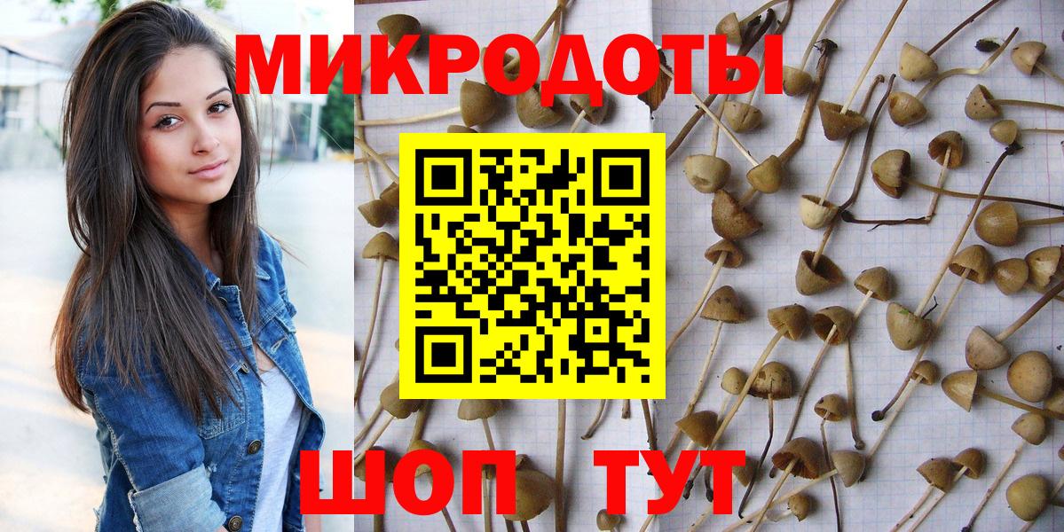 что такое наркотик  Галлюциногенные грибы ЛСД  Вход с VPN  Всеволожск  Галлюциногенные грибы мицелий 