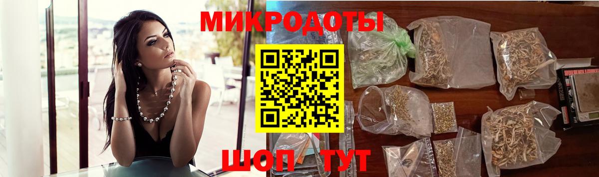 Псилоцибиновые грибы Psilocybe Всеволожск
